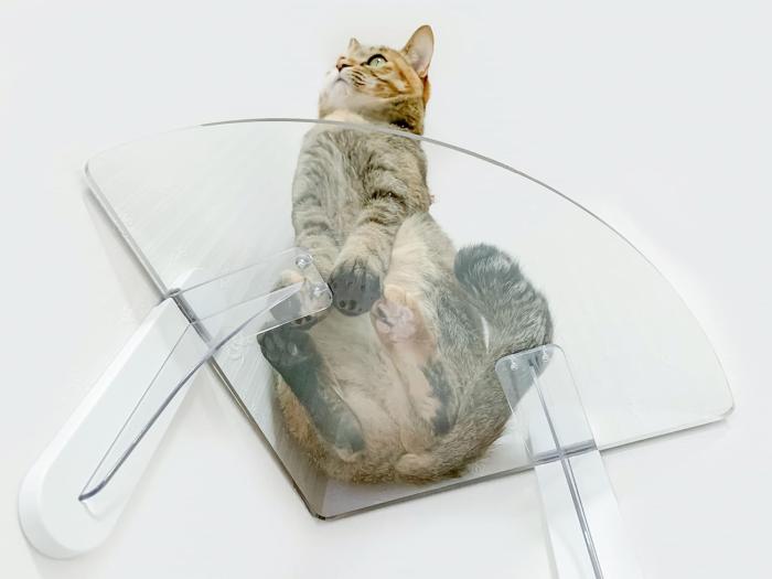 タカラ産業 キャットステップ PC30R（壁・コーナー用）ぷにっとした肉球が見える 商品画像2：ミスターエアコンＰＬＵＳ