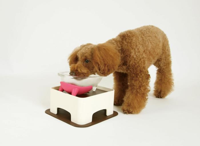 ハリオグラス HARIO ハリオ わんテーブル PTS-WT-CBR ショコラブラウン 商品画像3：ミスターエアコンＰＬＵＳ