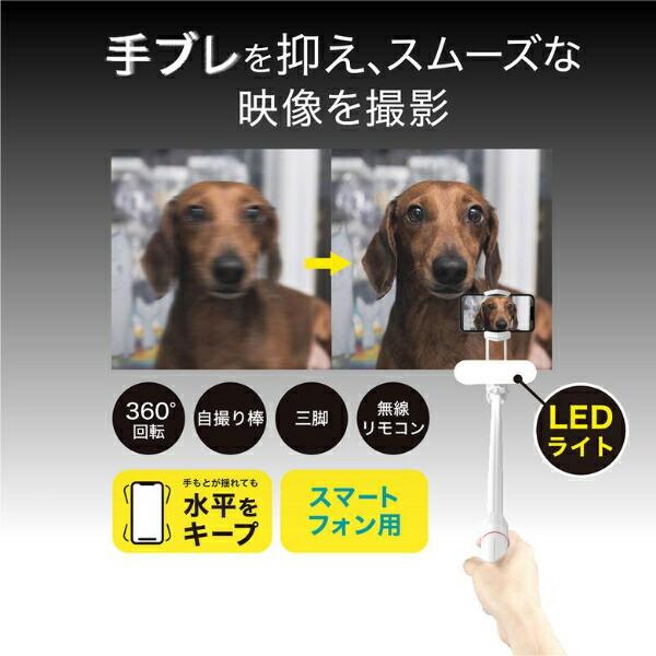 GH-SGB-WH [ホワイト]【送料無料(沖縄・一部離島部を除く)】 商品画像3：秋葉Direct