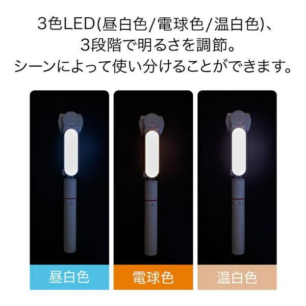 GH-SGB-WH [ホワイト]【送料無料(沖縄・一部離島部を除く)】 商品画像5：秋葉Direct