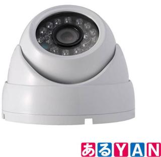 新品][送料無料] NSK 非発光全天候小型ドームカメラ NS-F202C 家内eye