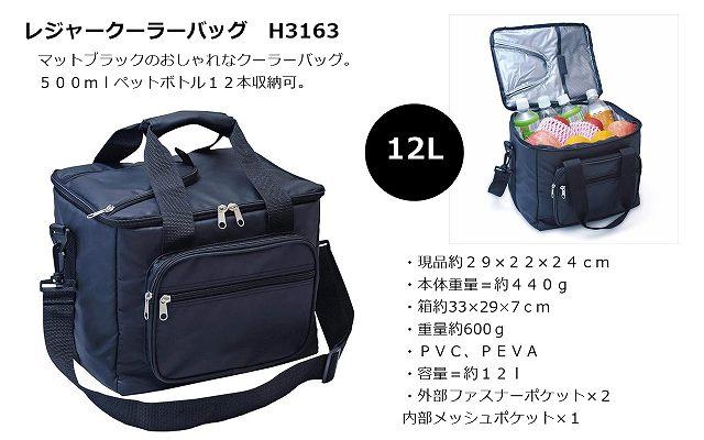 レジャークーラーバッグH3163　12L 商品画像1：BESTDO!