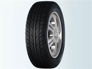 HD921 185/55R14 80V 商品画像4：ブロッサム