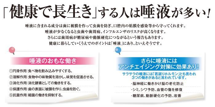 サリオーラ ボーテ 日本製 口腔ストレッチ 口腔ケア 美容機 エイジングケア 歯茎 歯周病予防 商品画像3：マイギフト