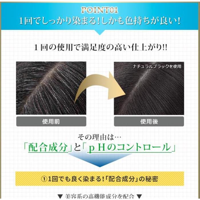 ＨＲビューステージ ヘアケアトリートメント（ナチュラルブラック）男性用白髪染め 商品画像2：マイギフト
