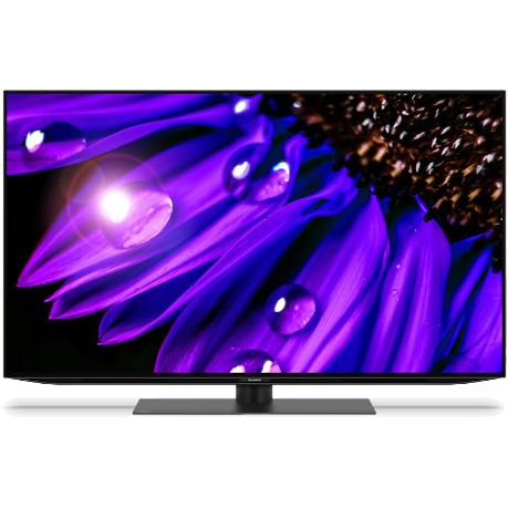 【時間指定不可】SHARP(シャープ) 48V型 4K有機ELテレビ 『AQUOS(アクオス) O･･･