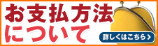 デンマートKaago店でご利用いただけるお支払い方法についてご紹介。お買い物の前にご一読ください。