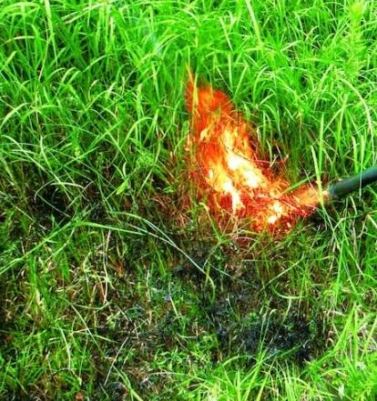 新富士バーナー KB-200 草焼きバーナー 灯油式 スタンダードタイプ 除草 害虫駆除 商品画像2：e-tool