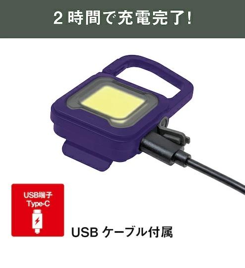 充電式スーパーフラッシュライト6W パープル COB-WL010PU ライテックス 商品画像2：e-tool