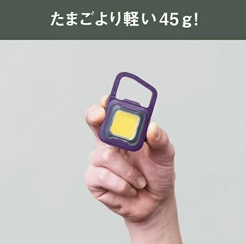 充電式スーパーフラッシュライト6W パープル COB-WL010PU ライテックス 商品画像4：e-tool