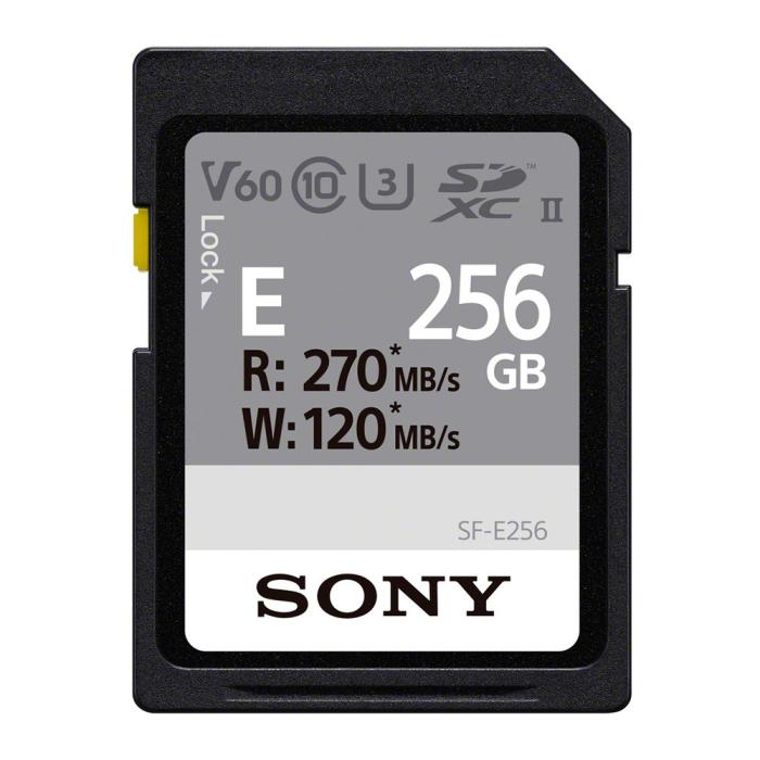 SF-E256 [256GB] 商品画像3：総合通販サイト 家電横丁