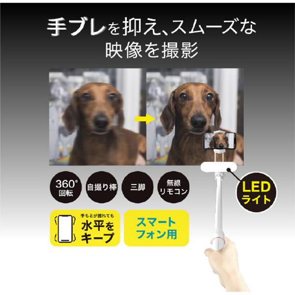 GH-SGB-WH [ホワイト] 商品画像4：総合通販サイト 家電横丁