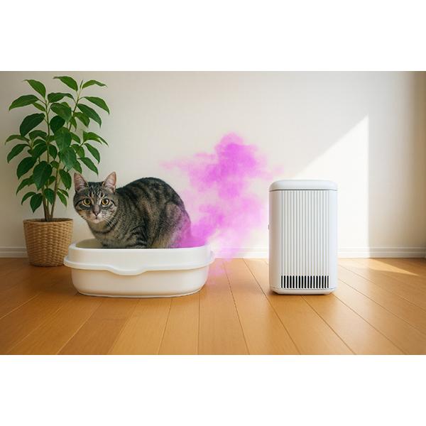 BlueDeo S にゃんこモデル MC-S311C 商品画像12：総合通販サイト 家電横丁