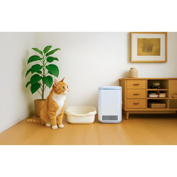 BlueDeo S にゃんこモデル MC-S311C 商品画像20：総合通販サイト 家電横丁