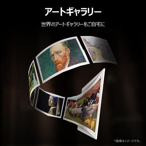 55C65K [55インチ] 商品画像12：総合通販サイト 家電横丁