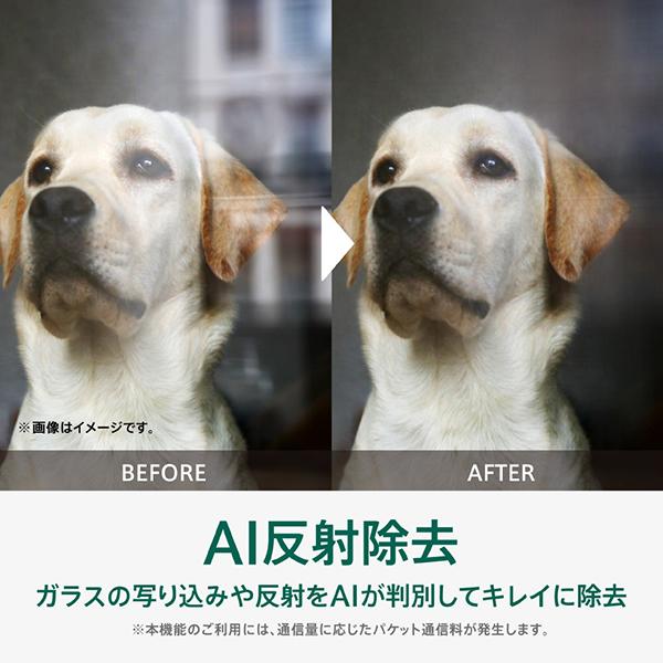 OPPO A5 5G 6.7型 4GB/128GB グリーン SIMフリースマートフォン  CPH2735-GR 商品画像12：総合通販サイト 家電横丁