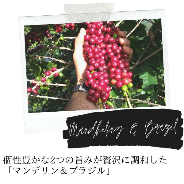 DRIP POD専用カプセル マンデリン&ブラジル DPMB002 12個入り 商品画像3：総合通販サイト 家電横丁