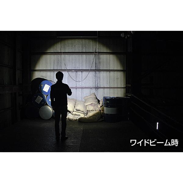REXEED RX-022DS 商品画像4：総合通販サイト 家電横丁