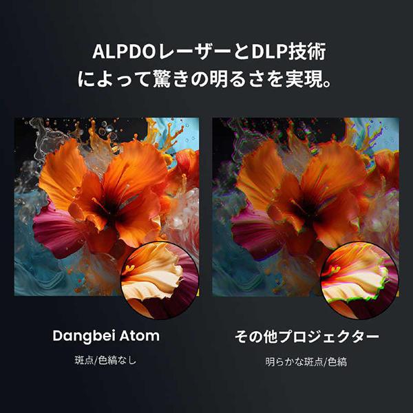 DBOD02ACDB02A 商品画像7：総合通販サイト 家電横丁