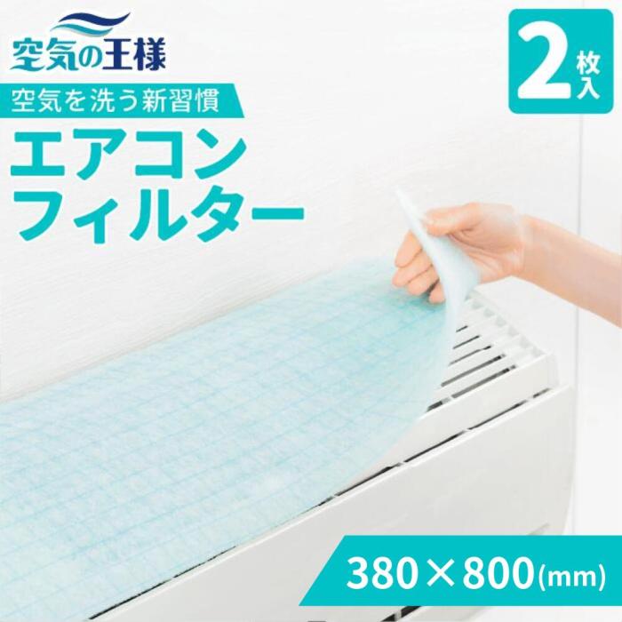 抗菌 ウイルス エアコン フィルター 2枚入 380 × 800 mm 家庭用 抗ウイルス ･･･