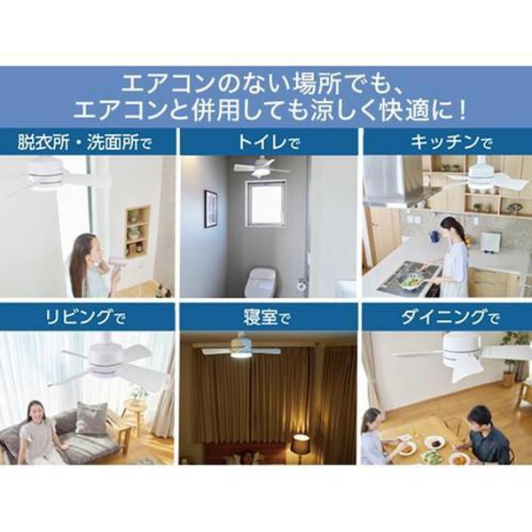 CCHFLWS2 ここひえ ここ冷えファンデライト 商品画像2：総合通販サイト 家電横丁 PLUS