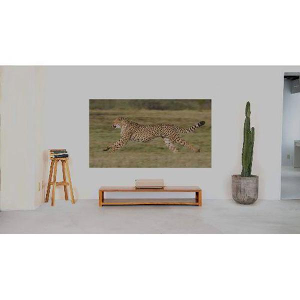 Aladdin Marca XM03F 商品画像3：総合通販サイト 家電横丁 PLUS