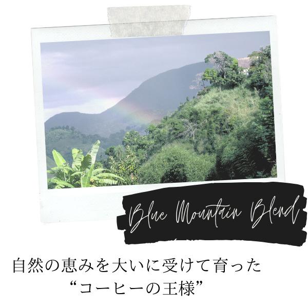 DPBM002 商品画像3：総合通販サイト 家電横丁 PLUS
