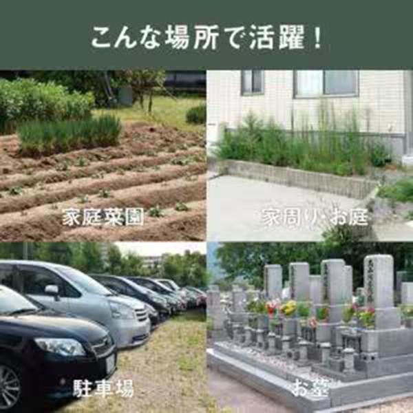 WE-760 充電式 除草バイブレーターUSBタイプ 商品画像9：総合通販サイト 家電横丁 PLUS