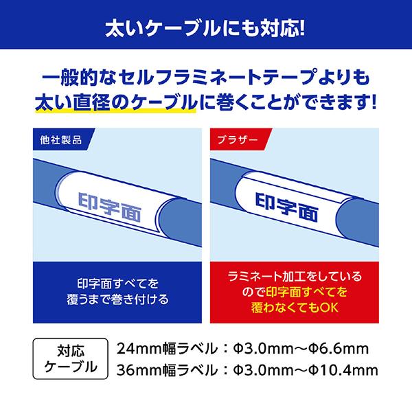 TZeSL261 商品画像7：総合通販サイト 家電横丁 PLUS