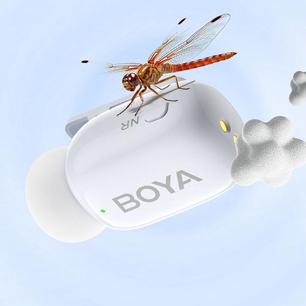 BOYAMINI14 商品画像19：総合通販サイト 家電横丁 PLUS