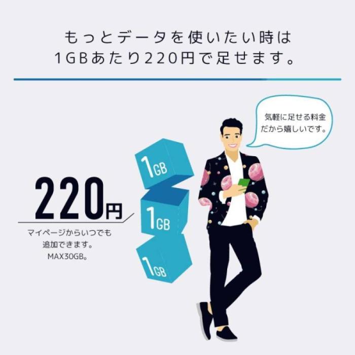 日本通信SIM スターターパック ドコモネットワーク NT-ST2-P メール便にてお届け 商品画像6：eightloop plus