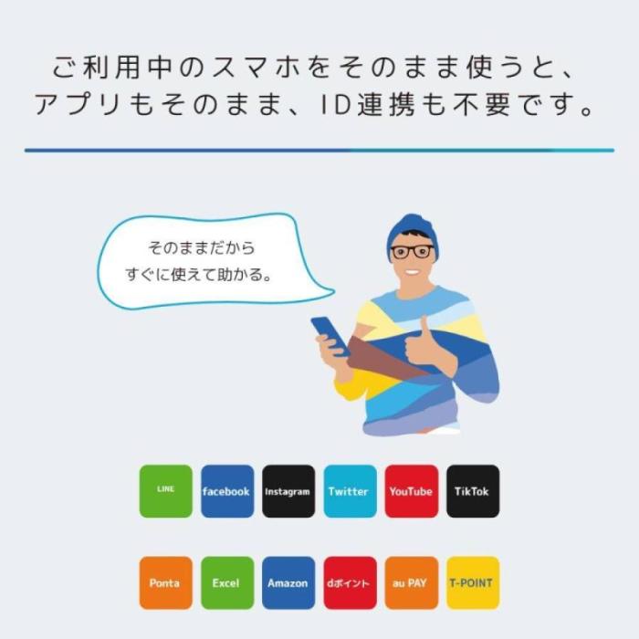 日本通信SIM スターターパック ドコモネットワーク NT-ST2-P メール便にてお届け 商品画像9：eightloop plus