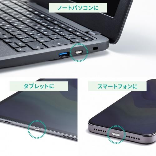 SLE-46S-W (ホワイト) TypeCポート取付けセキュリティ 商品画像3：eONE