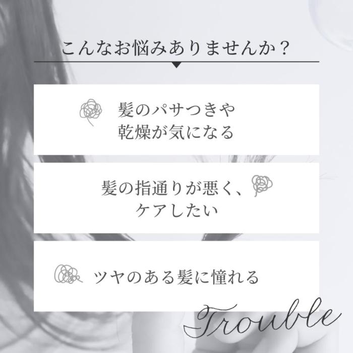TDX300A-N (ゴールド) モイスチャーイオン ヘアドライヤー 商品画像3：eONE