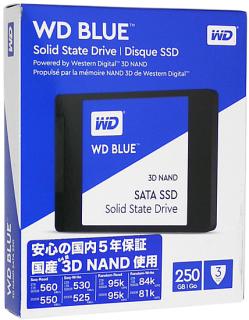 Western Digital 内蔵SSD 250GB WD Blue 3D NAND SATA WDS250G2B0Aの