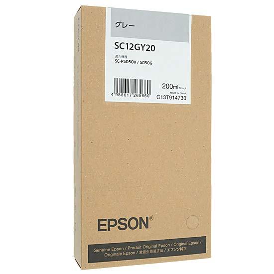 EPSON　インクカートリッジ　SC12GY20　グレー