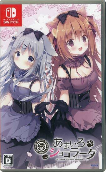 カービィのエアライダー　Nintendo Switch 2