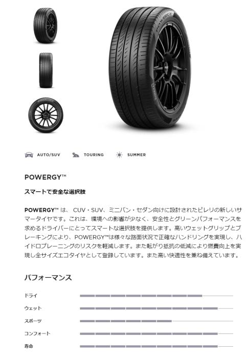 POWERGY 225/45R19 96W XL 商品画像2：グリーンテック