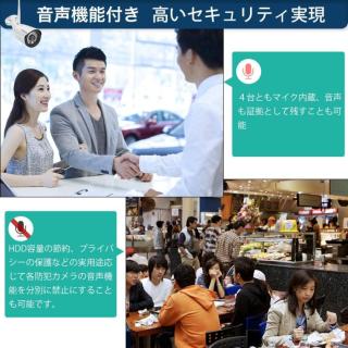 SOOHAO WIFI 防犯カメラ 2台 セット 2TB 300万画素 録音機能 12インチ