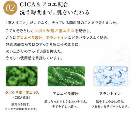 【ブランド直営・正規販売店】TecaReGem テカリジェム 洗顔酵素パウダー 60g 酵素洗顔 洗顔パウダー 毛穴汚れ 角質ケア CICA アロエ パウダー洗顔 毛穴ケア フェイスウォッシュ すっきり洗浄 つるんとなめらか肌 韓国コスメ スキンケア 毎日 商品画像3：JYPSPEED PLUS