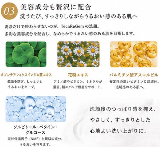 【ブランド直営・正規販売店】TecaReGem テカリジェム 洗顔酵素パウダー 60g 酵素洗顔 洗顔パウダー 毛穴汚れ 角質ケア CICA アロエ パウダー洗顔 毛穴ケア フェイスウォッシュ すっきり洗浄 つるんとなめらか肌 韓国コスメ スキンケア 毎日 商品画像4：JYPSPEED PLUS