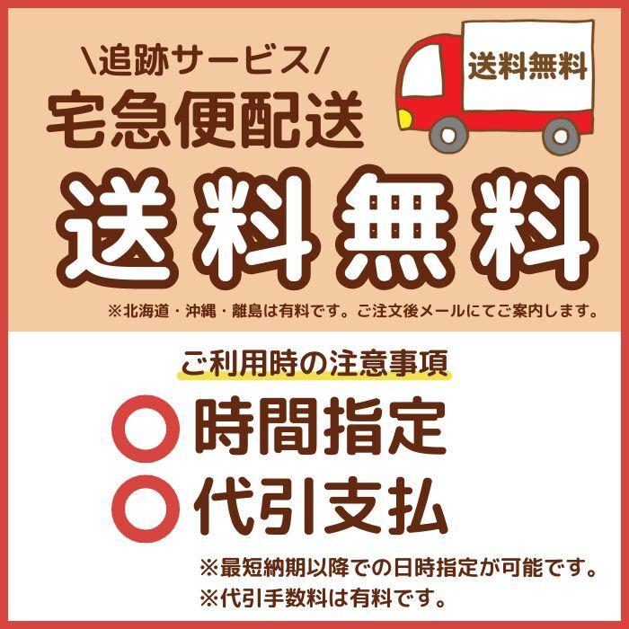 長府製作所 DR-200PM タッチパネルリモコンセット 無線LAN対応 インターホン 音声 台所リモコン 浴室リモコン 商品画像2：住設本舗 PLUS