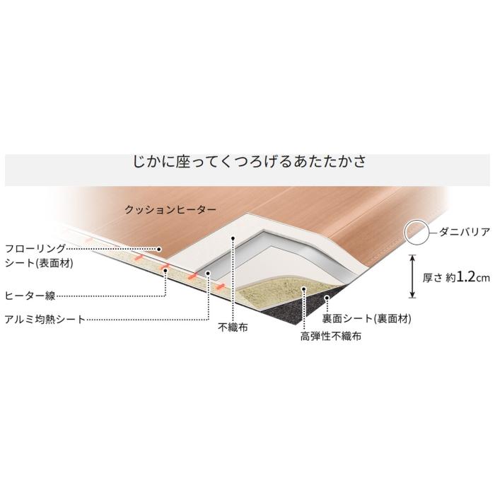 Panasonic パナソニック DC-1V5-MT 電気カーペット かんたん床暖 フローリングタイプ ホットカーペット 1畳相当 木目調 商品画像3：ライフマーケット