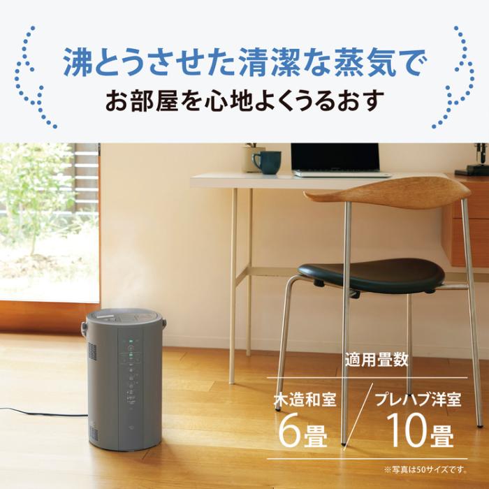 象印 ZOJIRUSHI 加湿器 EE-DF35-HA スチーム式加湿器 蒸気 フィルター不要 チャイルドロック 転倒湯もれ防止構造 グレー 商品画像2：ライフマーケット