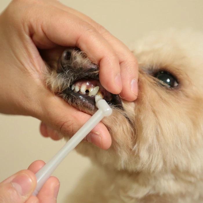 【トーラス】歯垢トルトル プラケア 1本 ☆ペット用品 ※お取り寄せ商品 商品画像4：メディストック　カーゴ店