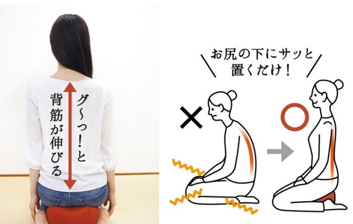 【北沢】彩転 正座が楽になるクッション レッド 1個 ※お取り寄せ商品 商品画像3：メディストック　カーゴ店
