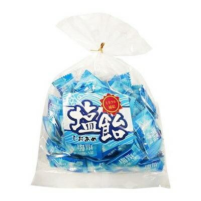 【日進医療器】おいしいのど飴　塩　１８０ｇ ☆食品
