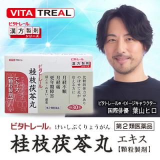 【福袋セール】 第2類医薬品】【ビタトレールの漢方薬】桂枝茯苓丸(けいしぶく 医薬品・指定医薬部外品