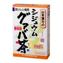 【山本漢方】１００％シジュウムグアバ茶　３ｇ×２０包 ※お取り寄せ商品 商品画像1：メディストック　カーゴ店