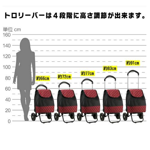 平野【平野鞄】25L ヴァレンチノヴィスカーニ 保冷 保温 ショッピングカート（黒/黒）★【15161-06】 商品画像6：SAKURA MOMO
